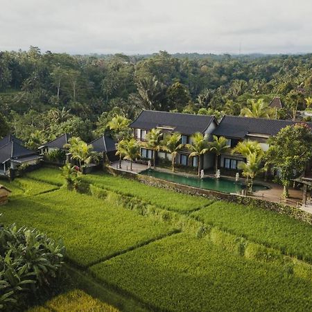 Pinggala Villa Ubud 帕洋安 外观 照片