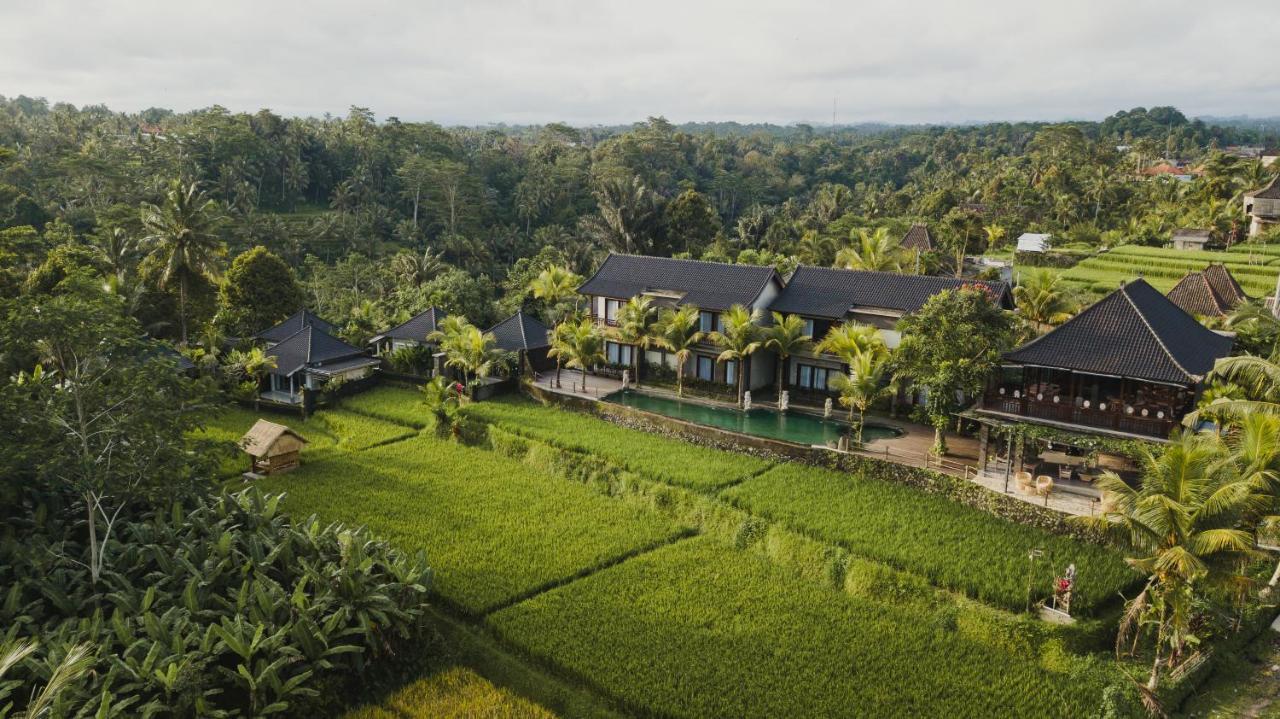 Pinggala Villa Ubud 帕洋安 外观 照片