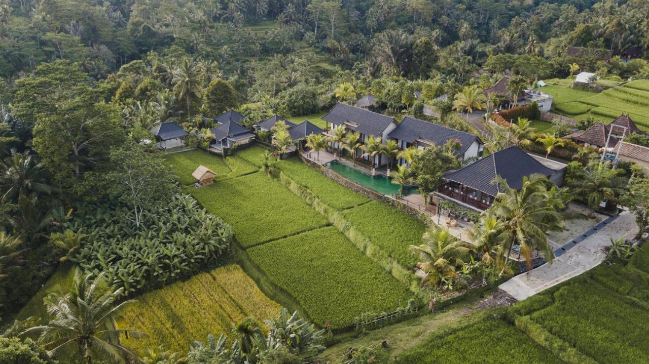 Pinggala Villa Ubud 帕洋安 外观 照片